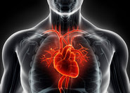 Nanocząsteczki mogą zmienić sposób leczenia chorób serca