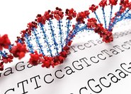 MOF-y są jak chemiczne klocki magnetyczne